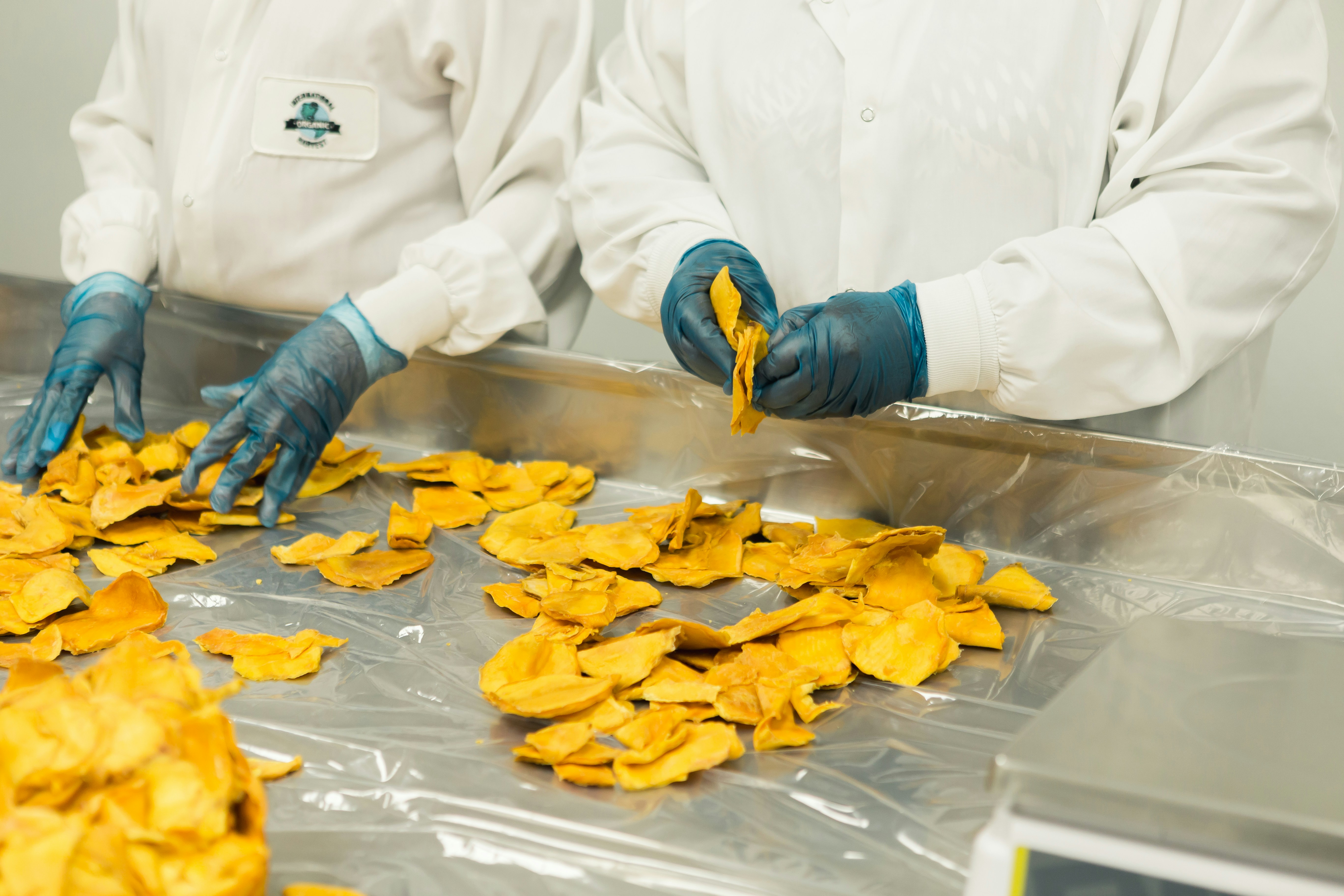 Food processing research for FDA food additives video