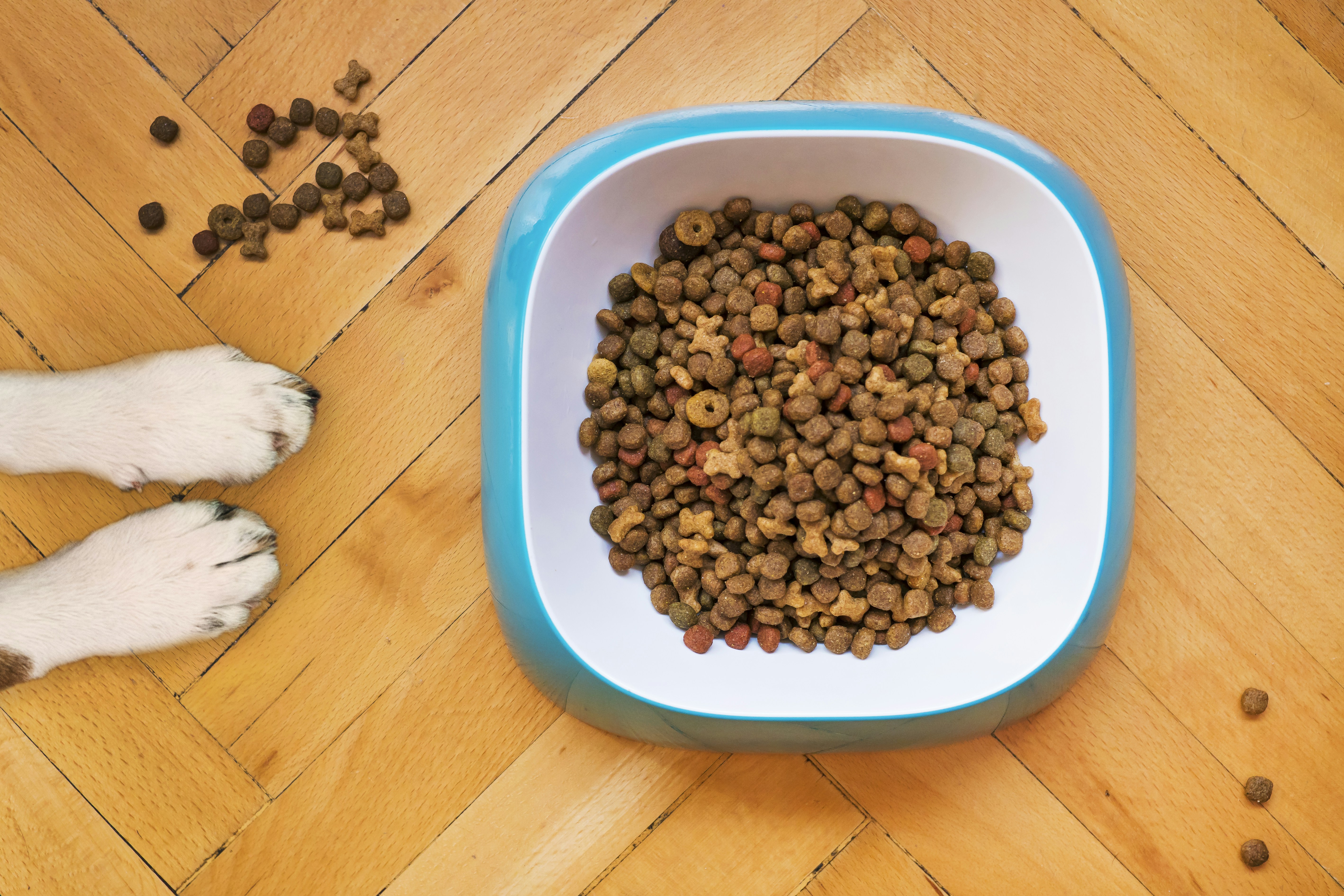 Pet food and product label education
